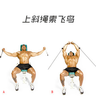 胸部训练教程：胸肌锻炼动作-上斜绳索飞鸟