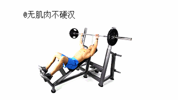 全面轰炸你的胸肌 每周一次挑5个动作训练